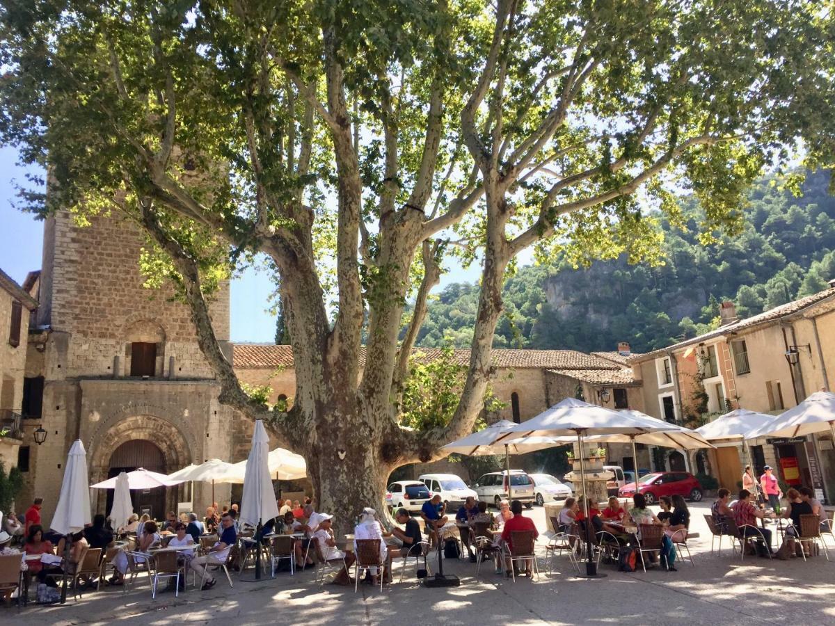 Charmante Maison A Saint Guilhem Le Desert Exterior foto